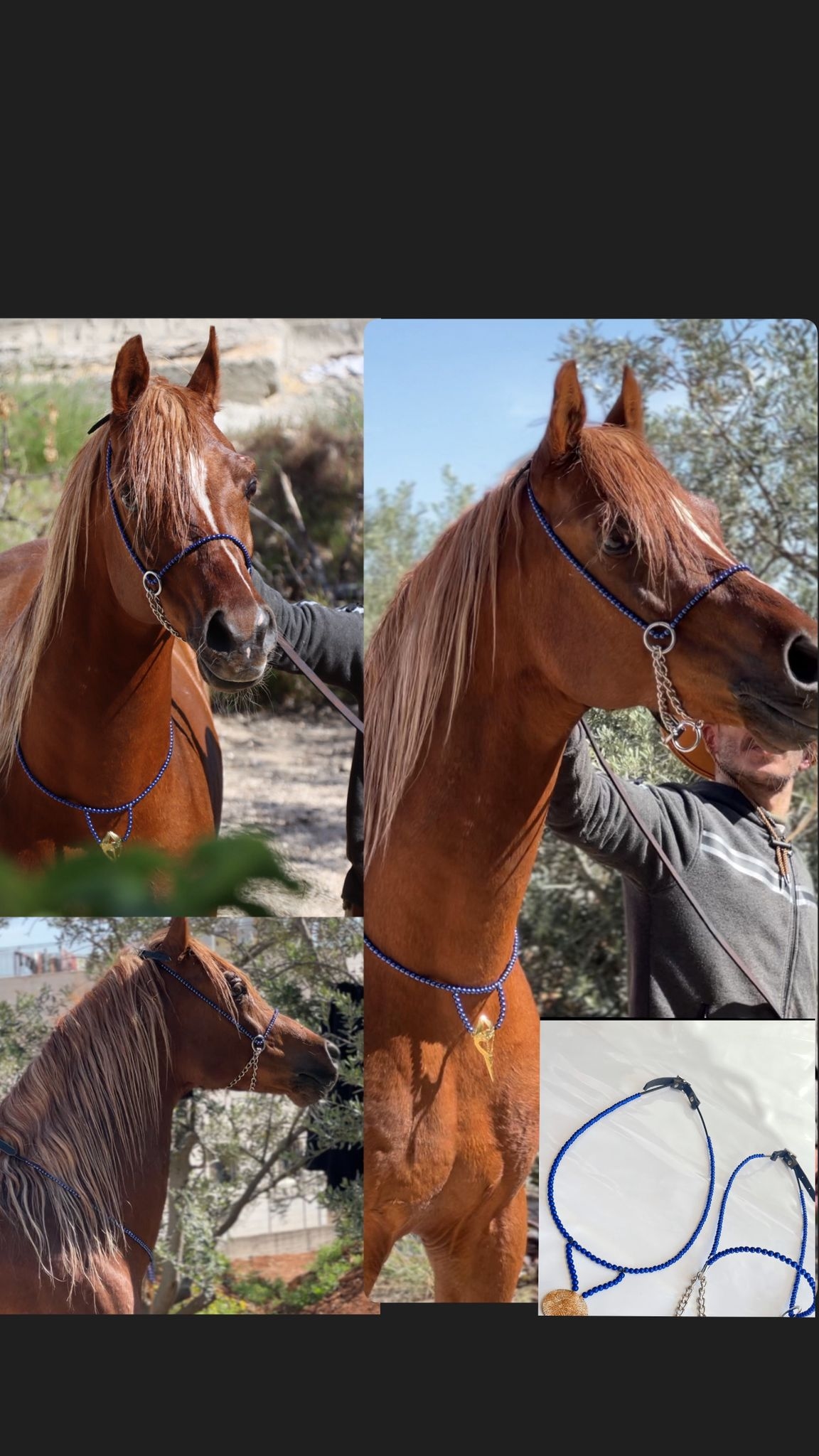 طقم جمال أزرق بدون شناف