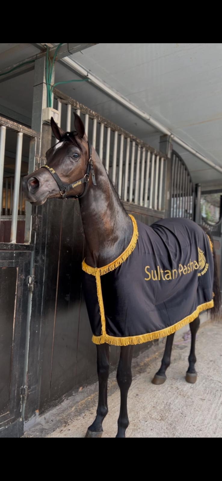 كوبان زينة صيفي