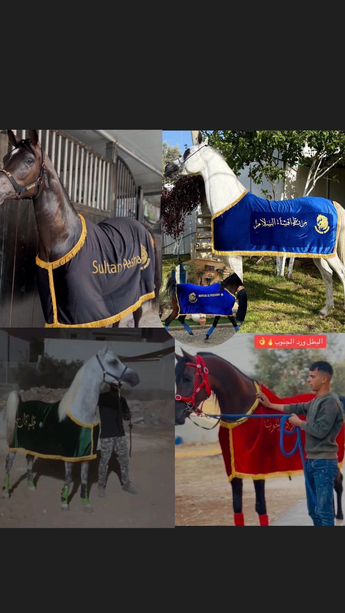 كوبان زينة صيفي