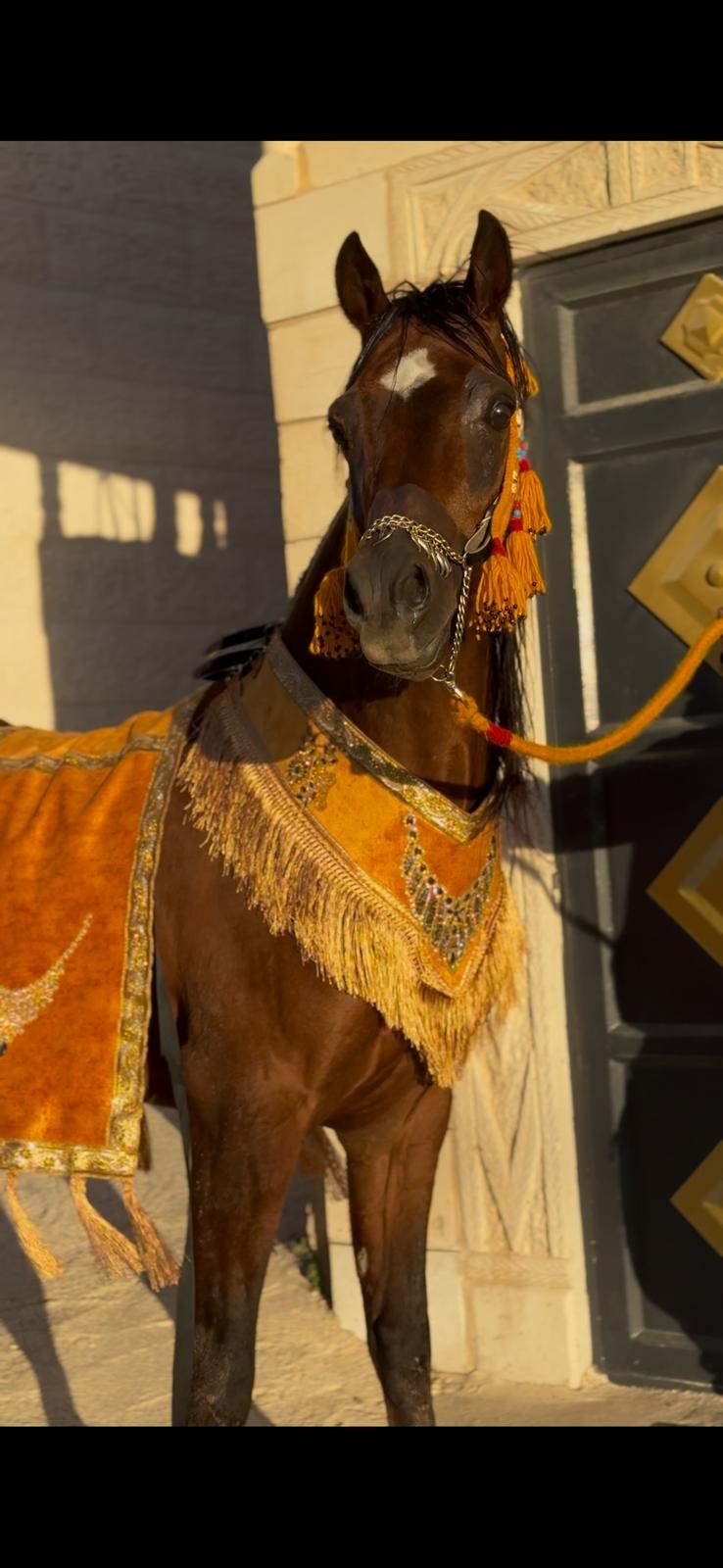 طقم جمال فاخر (قطعتين)