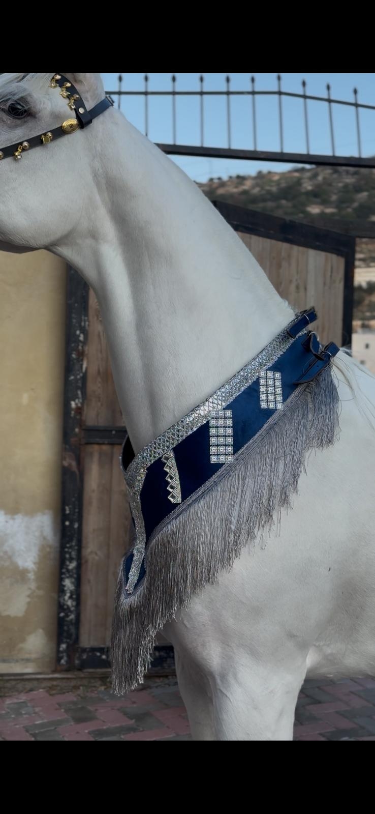 صداري الجمال (تتويج)