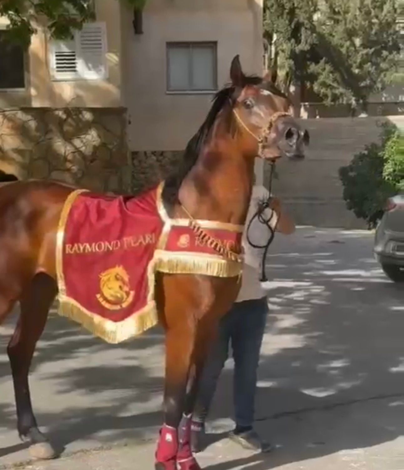 شلال عروض رقبة دائرية - صورة 5