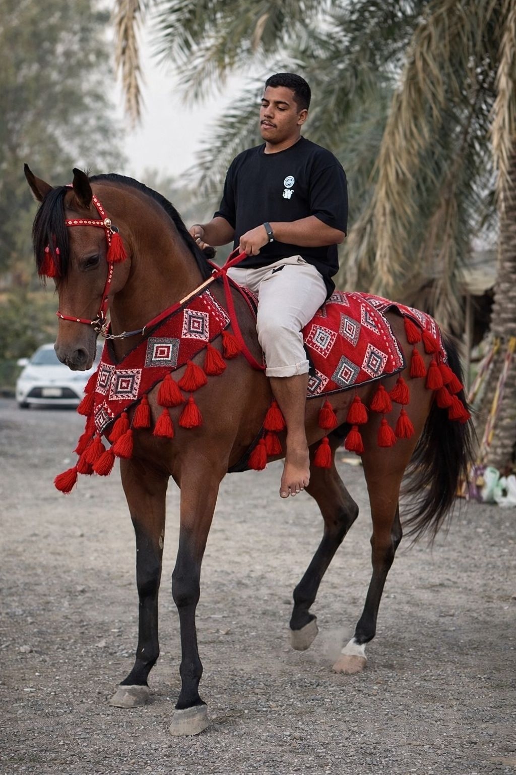 طقم زينة فاخر 