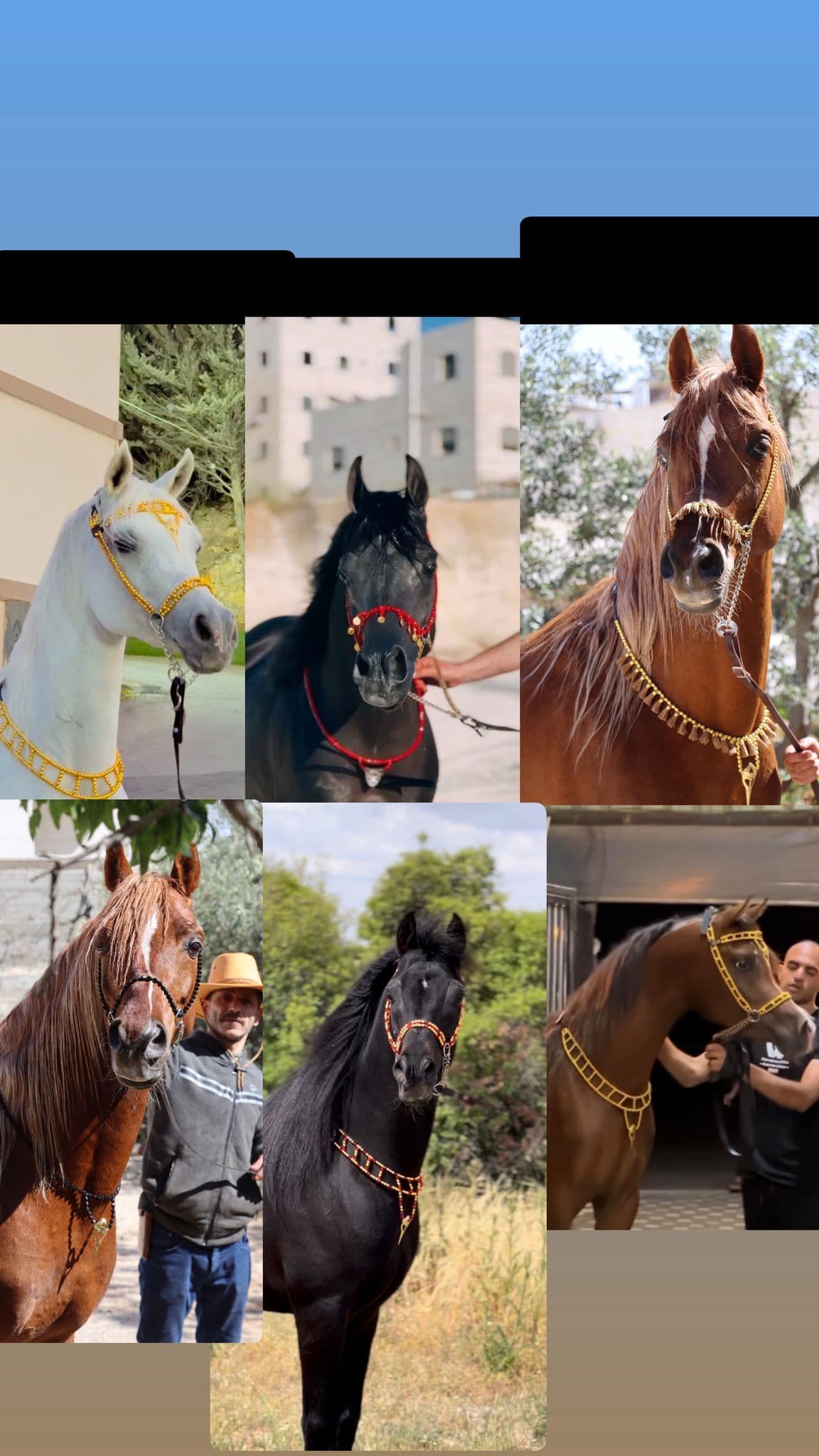 أطقم زينة خرز