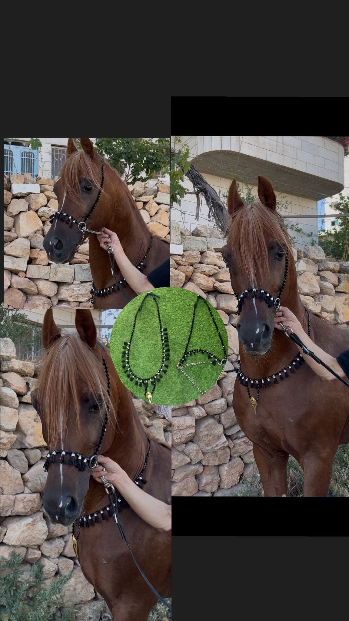 طقم جمال اسود بشناف