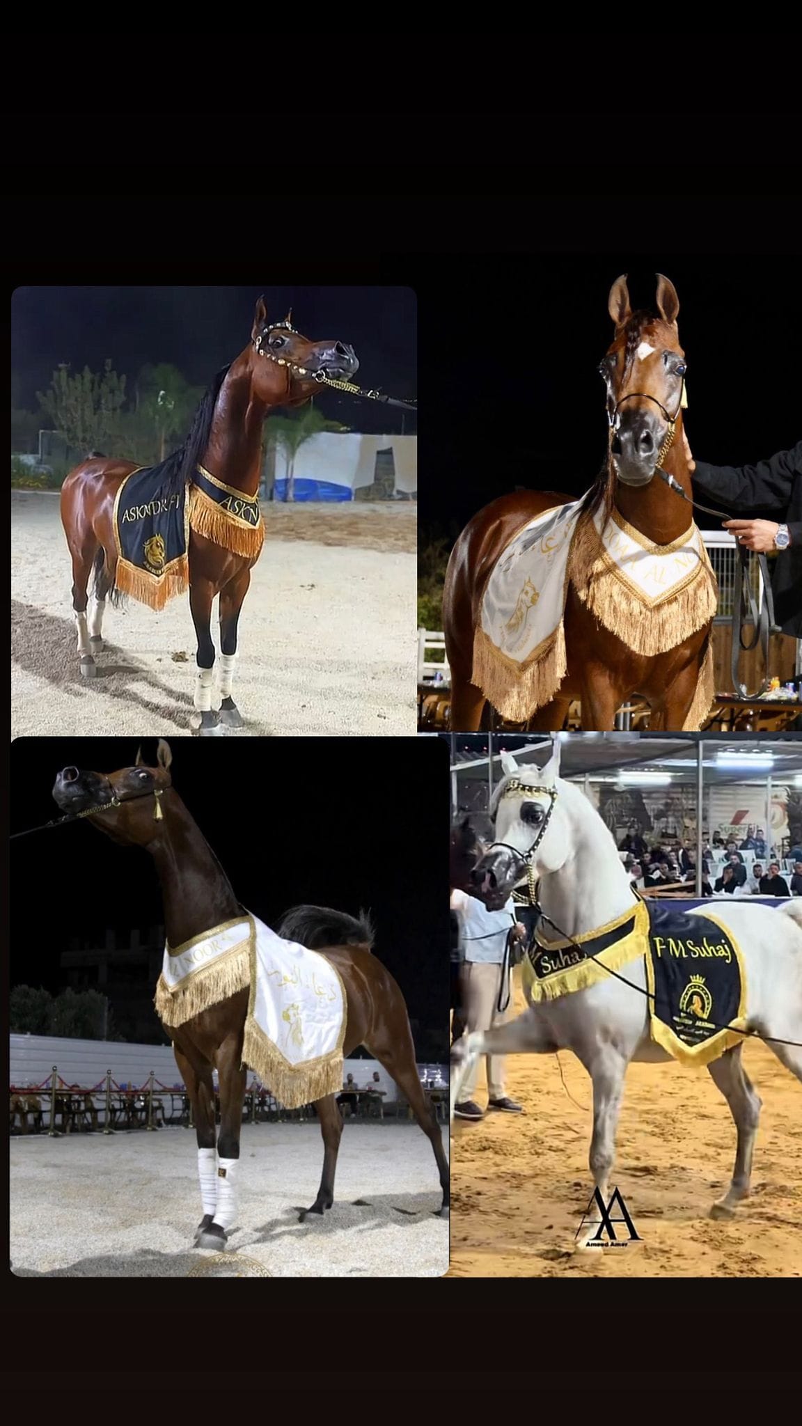 شلال عروض رقبة زاوية (٧) thumbnail 1