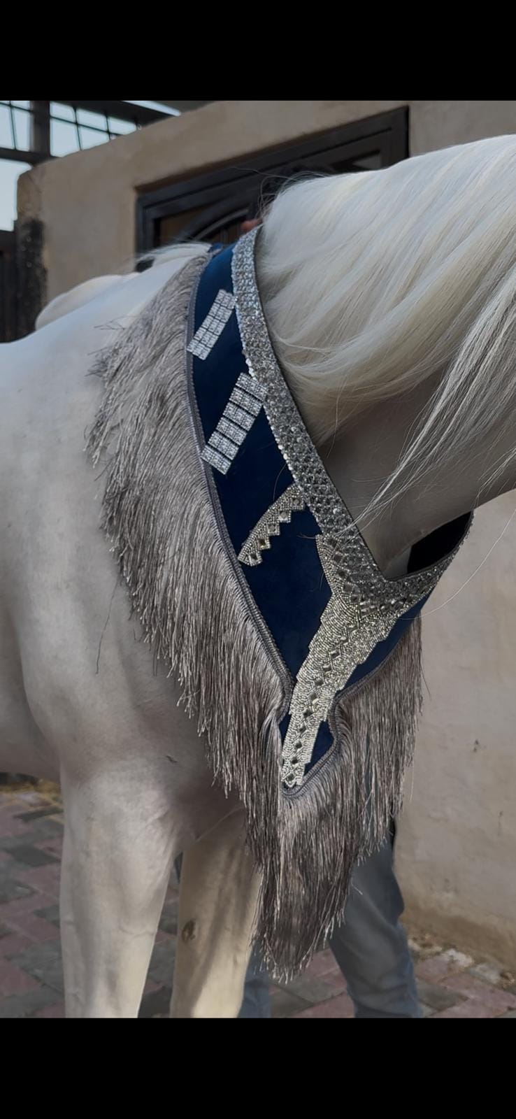 صداري الجمال (تتويج)