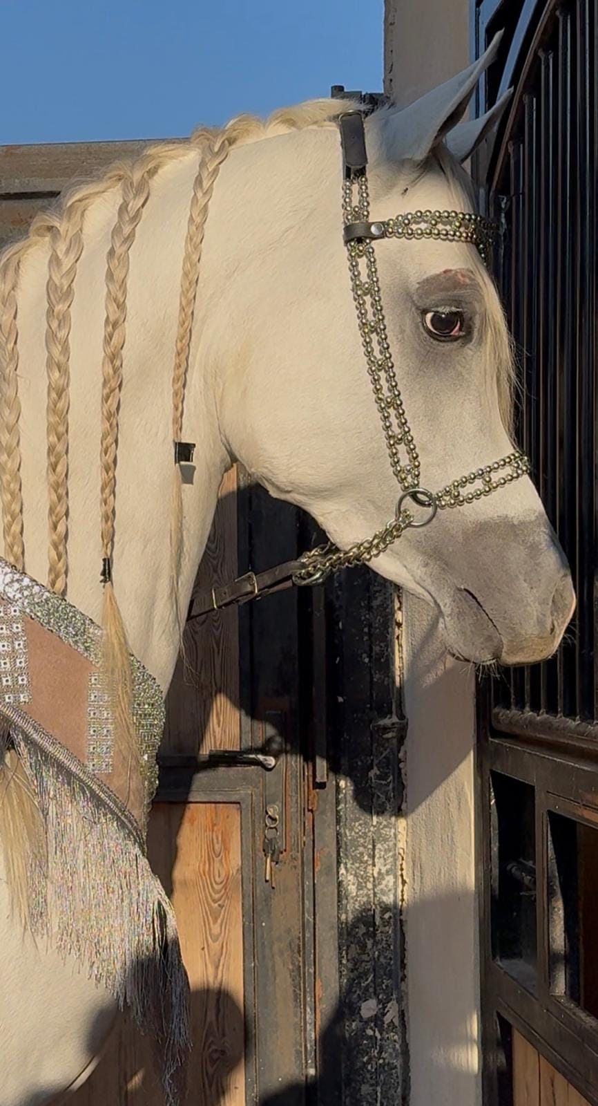 طقم جمال فاخر فضي (رشمة مع عقد الرقبة) thumbnail 2