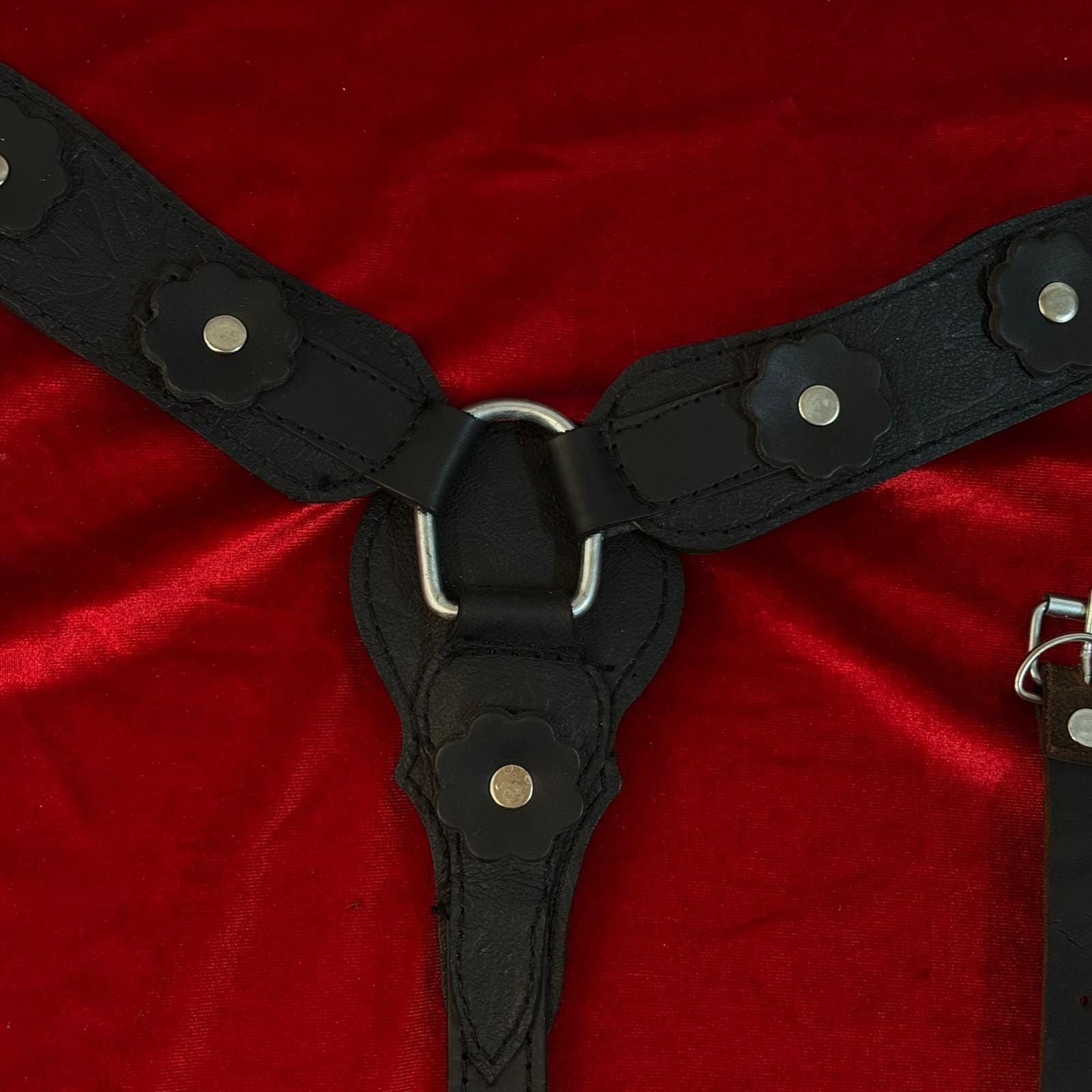 صدرية خيل جلدية