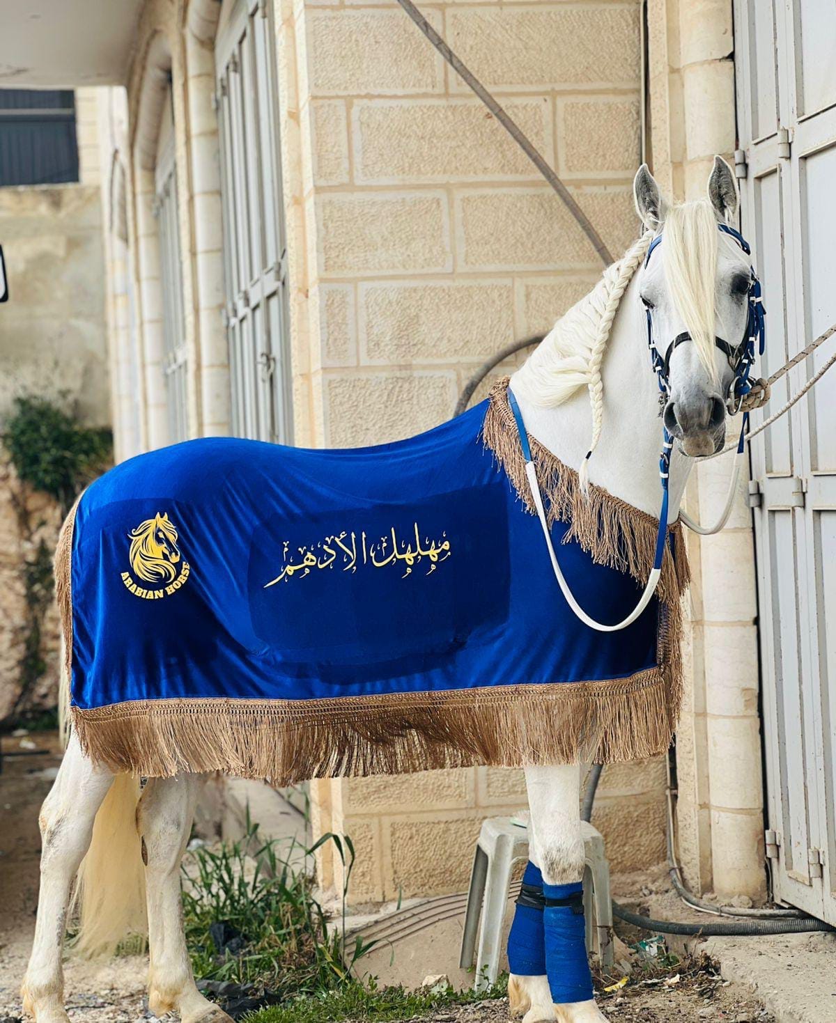 كوبان زينة صيفي