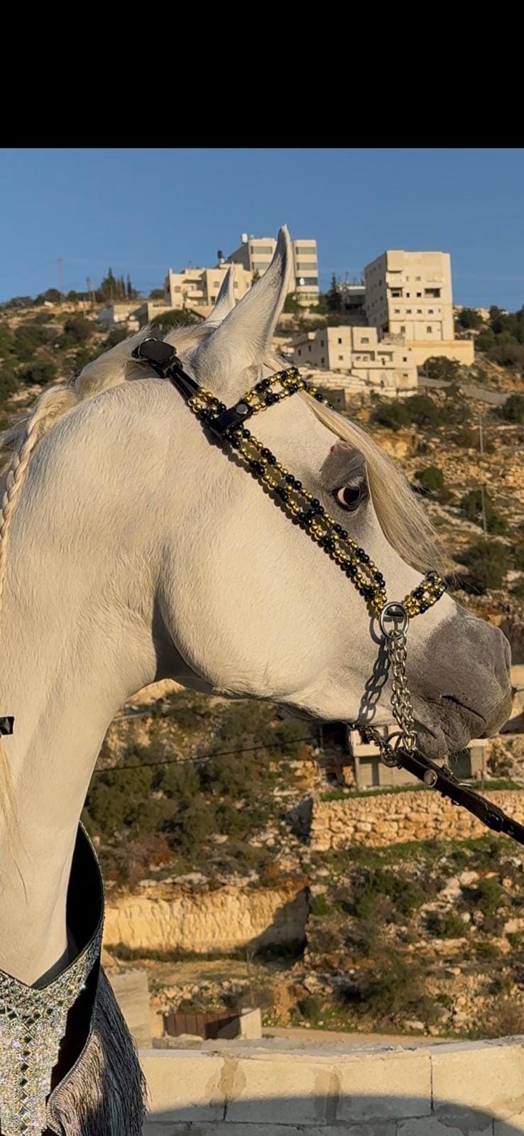 طقم جمال فاخر أسود وذهبي (رشمة مع عقد الرقبة) thumbnail 2