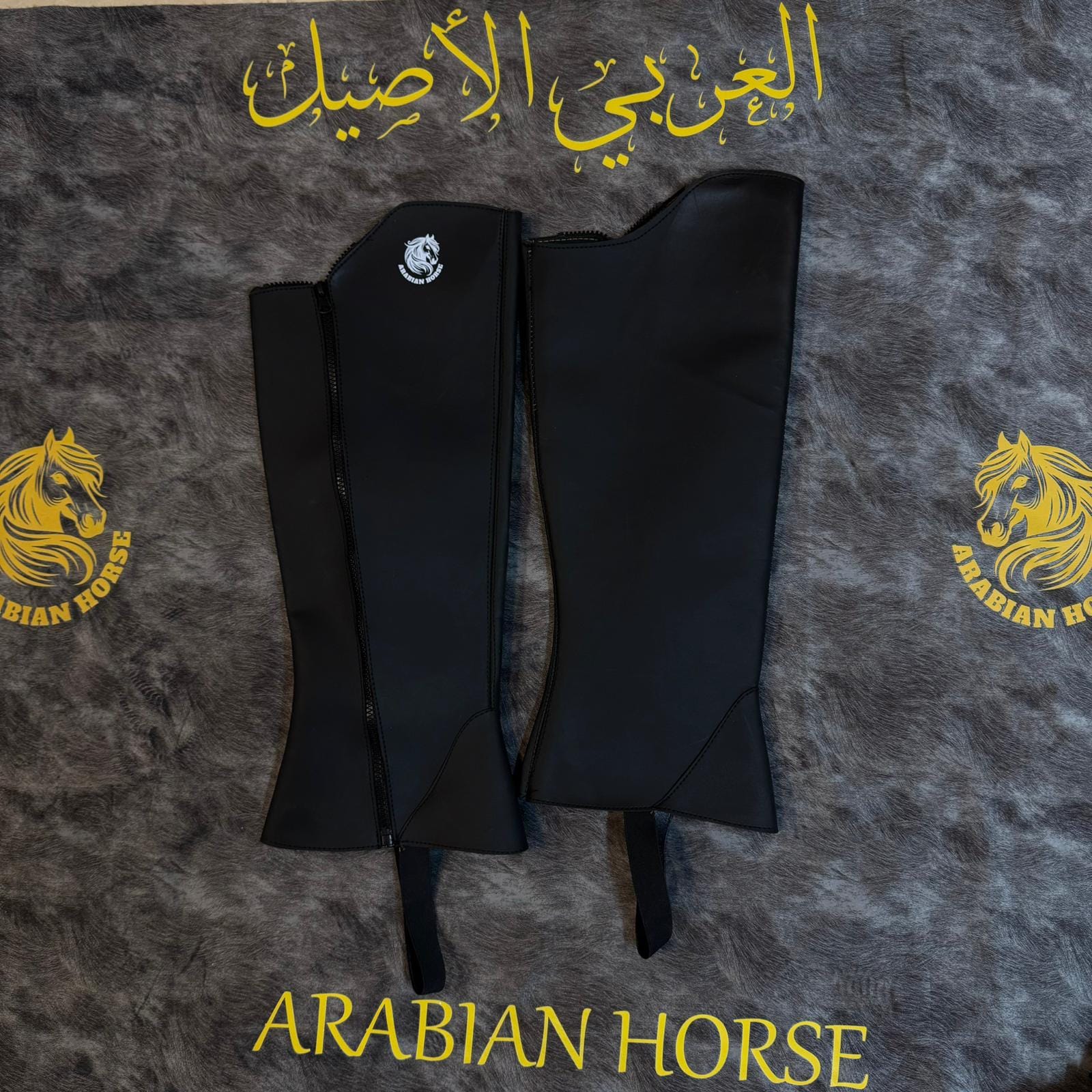 تشابس للفرسان