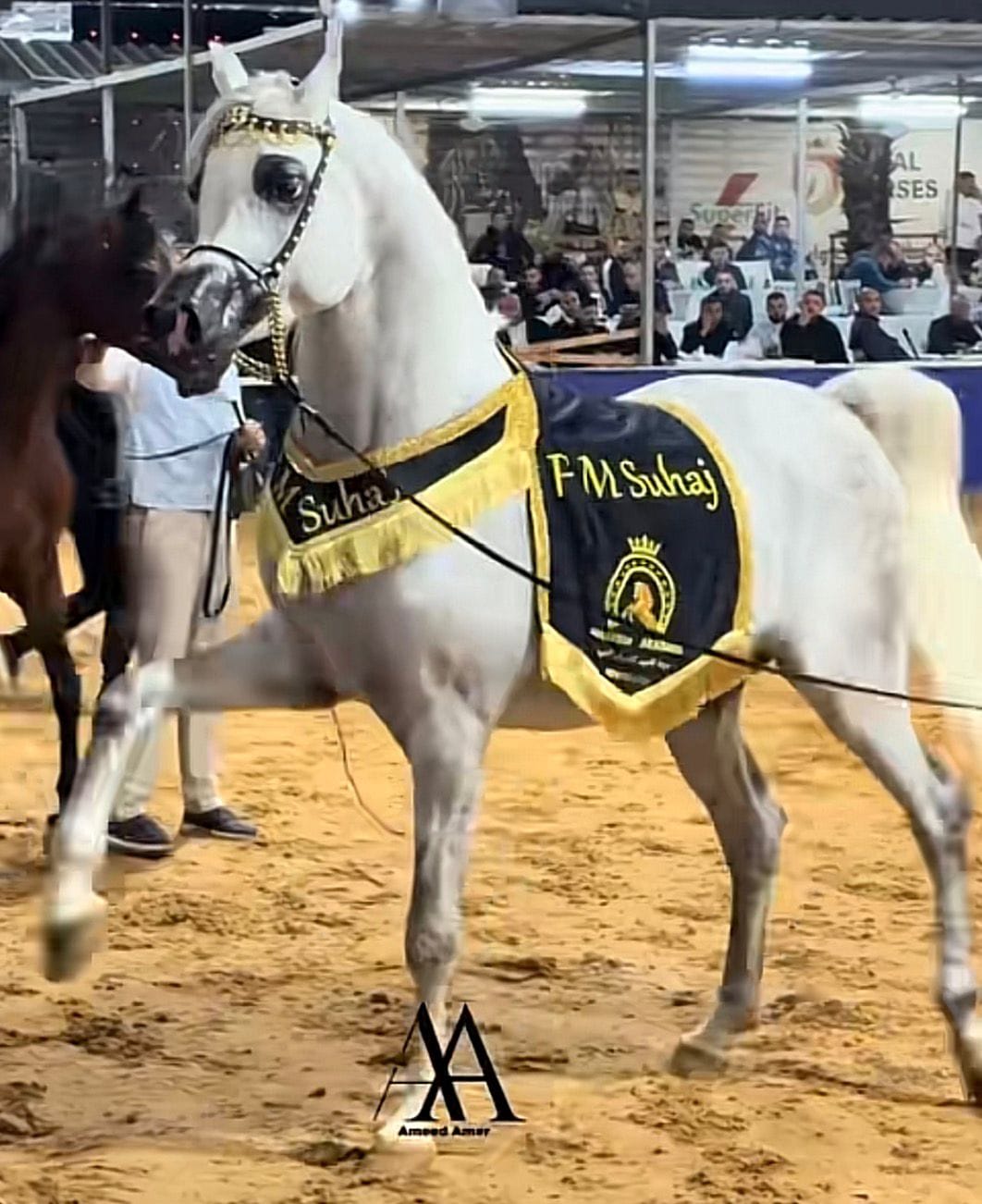 شلال عروض رقبة زاوية (٧) thumbnail 3