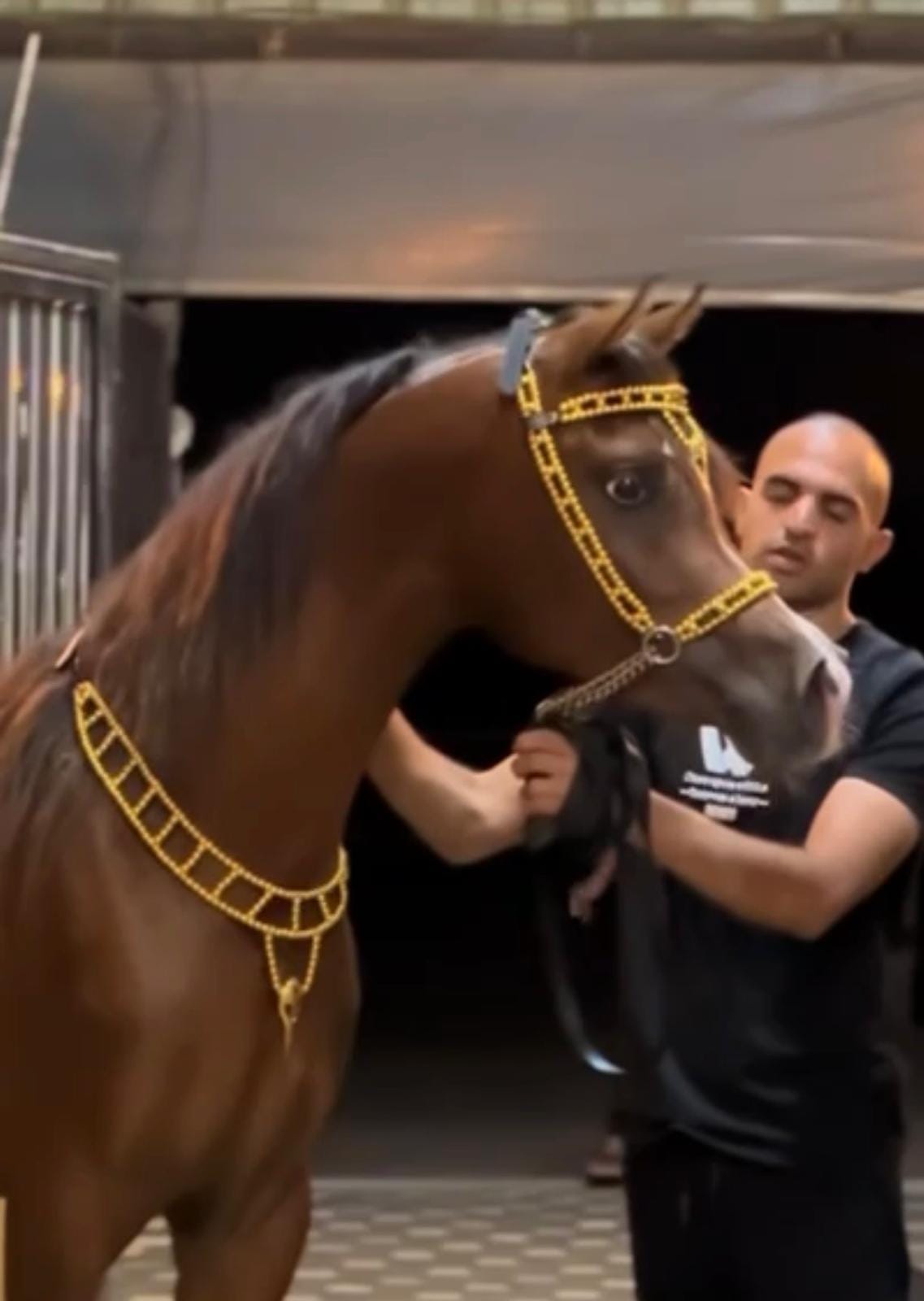 طقم جمال فاخر ذهبي (رشمة مع عقد الرقبة)  thumbnail 3