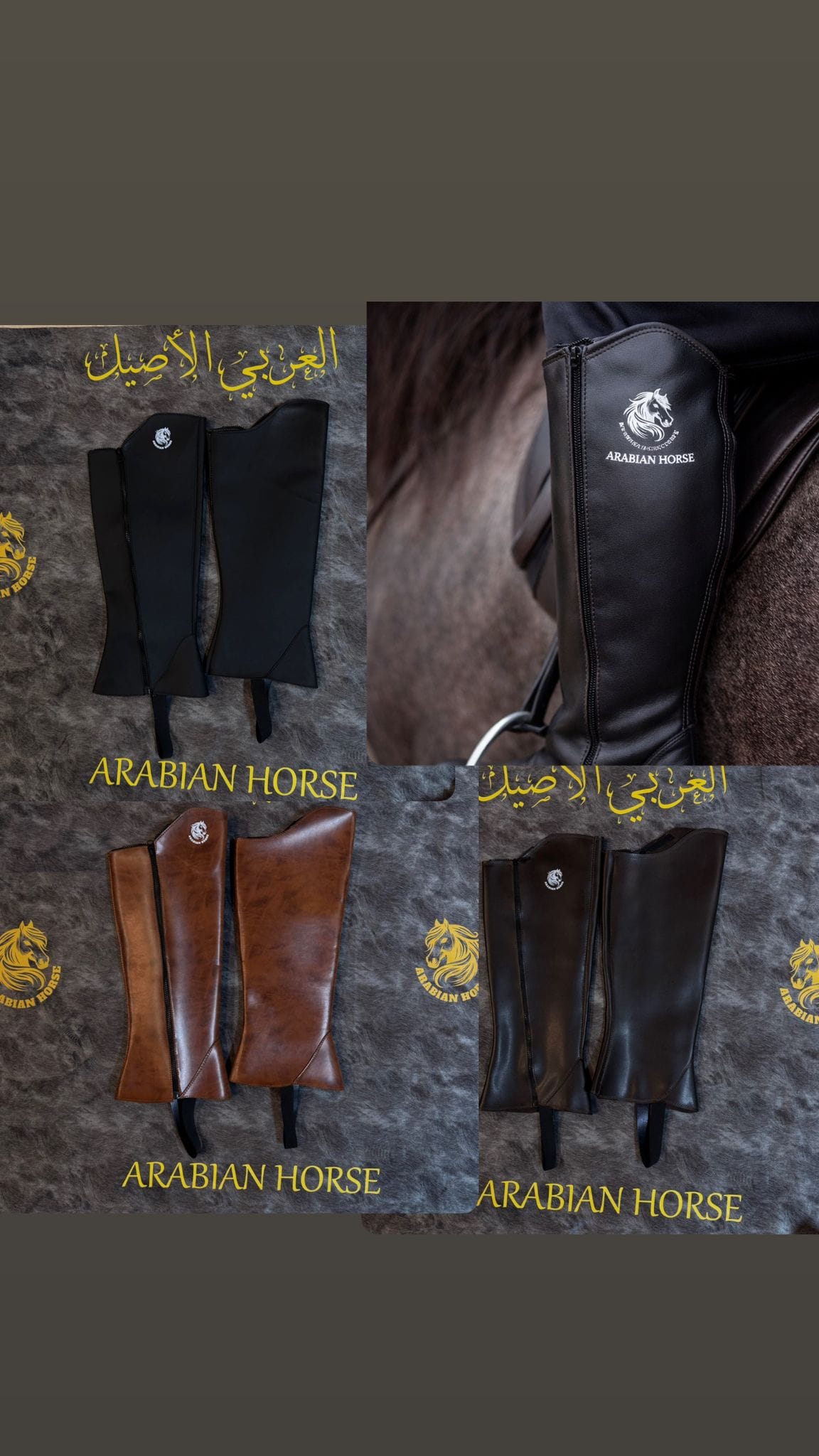 تشابس للفرسان