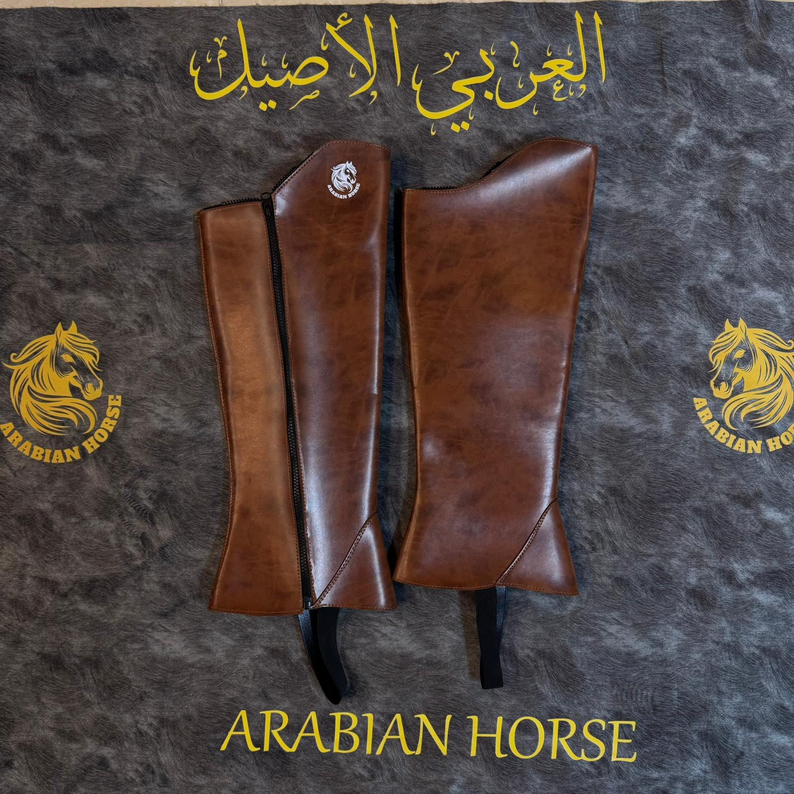 تشابس للفرسان