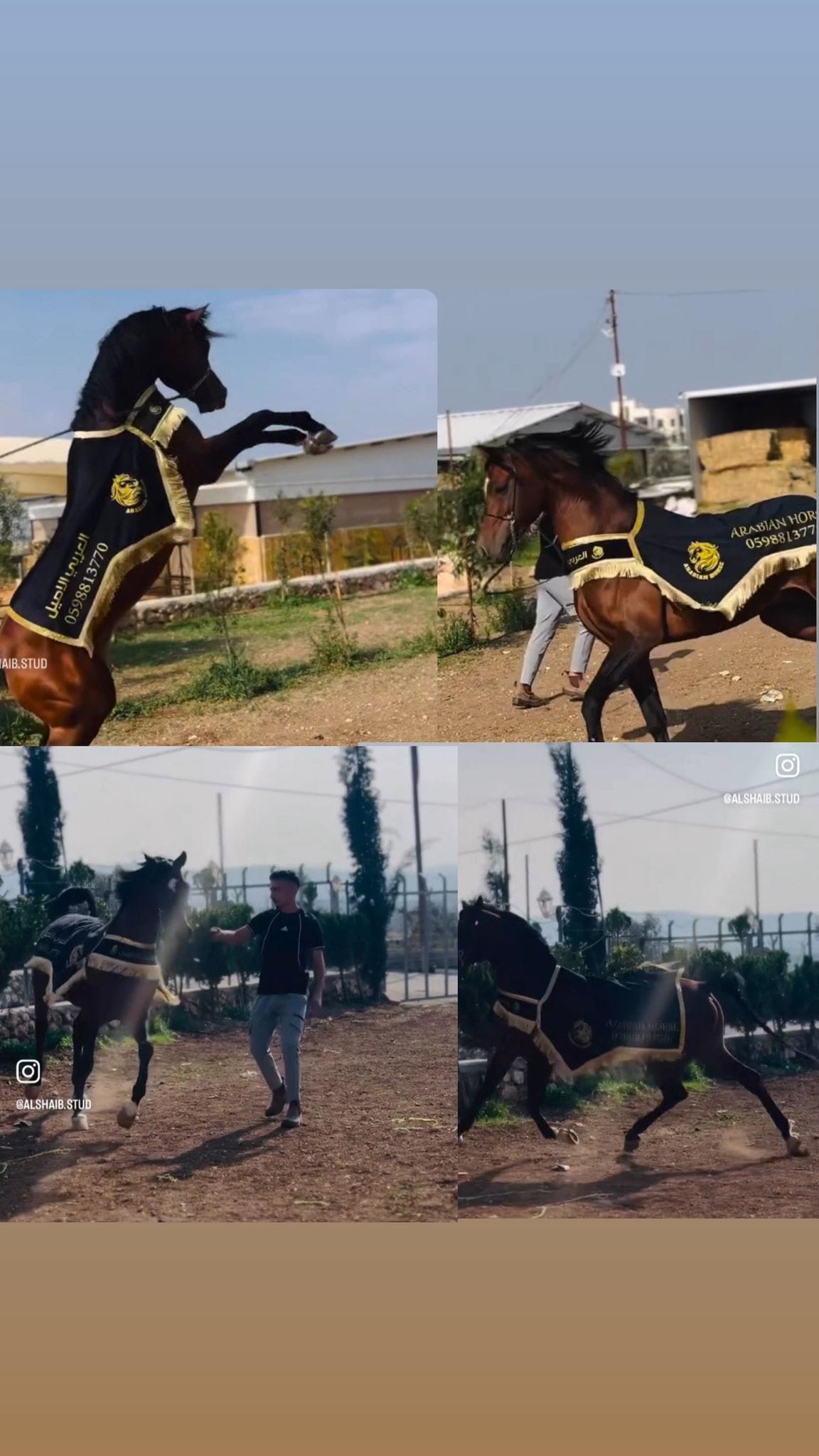 شلال عروض الجمال طويل thumbnail 1