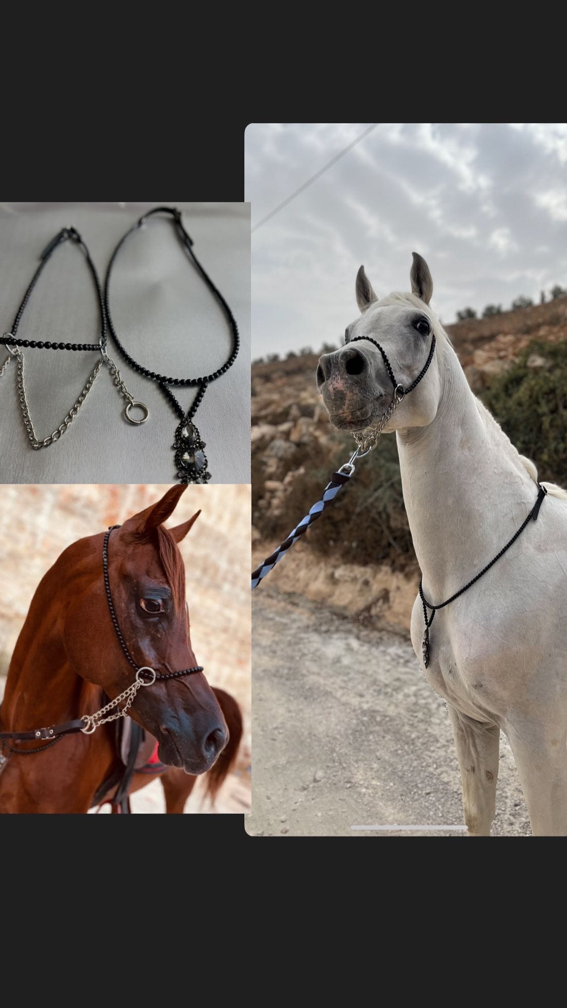 طقم جمال أسود بدون شناف