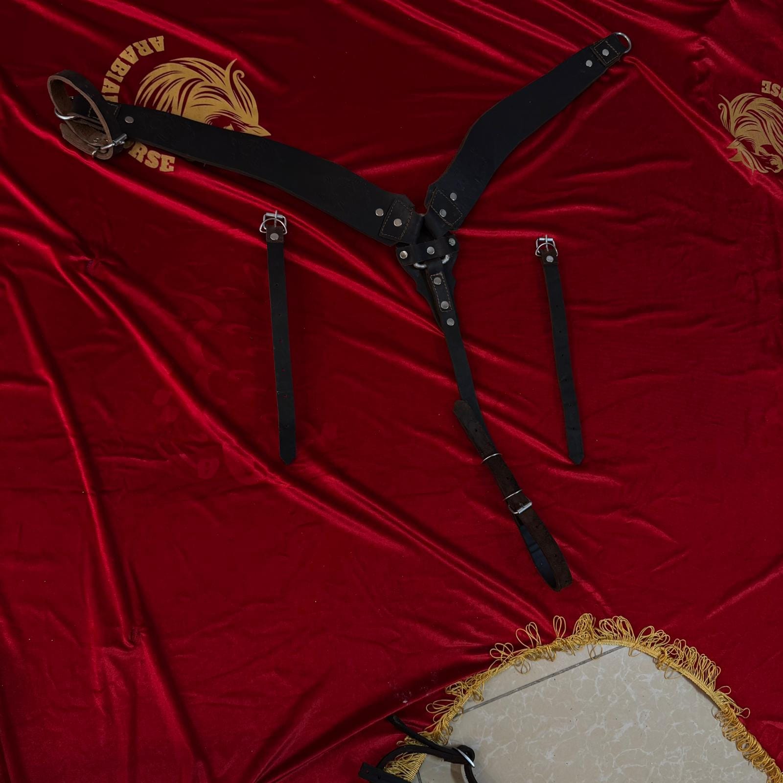 صدرية خيل جلدية