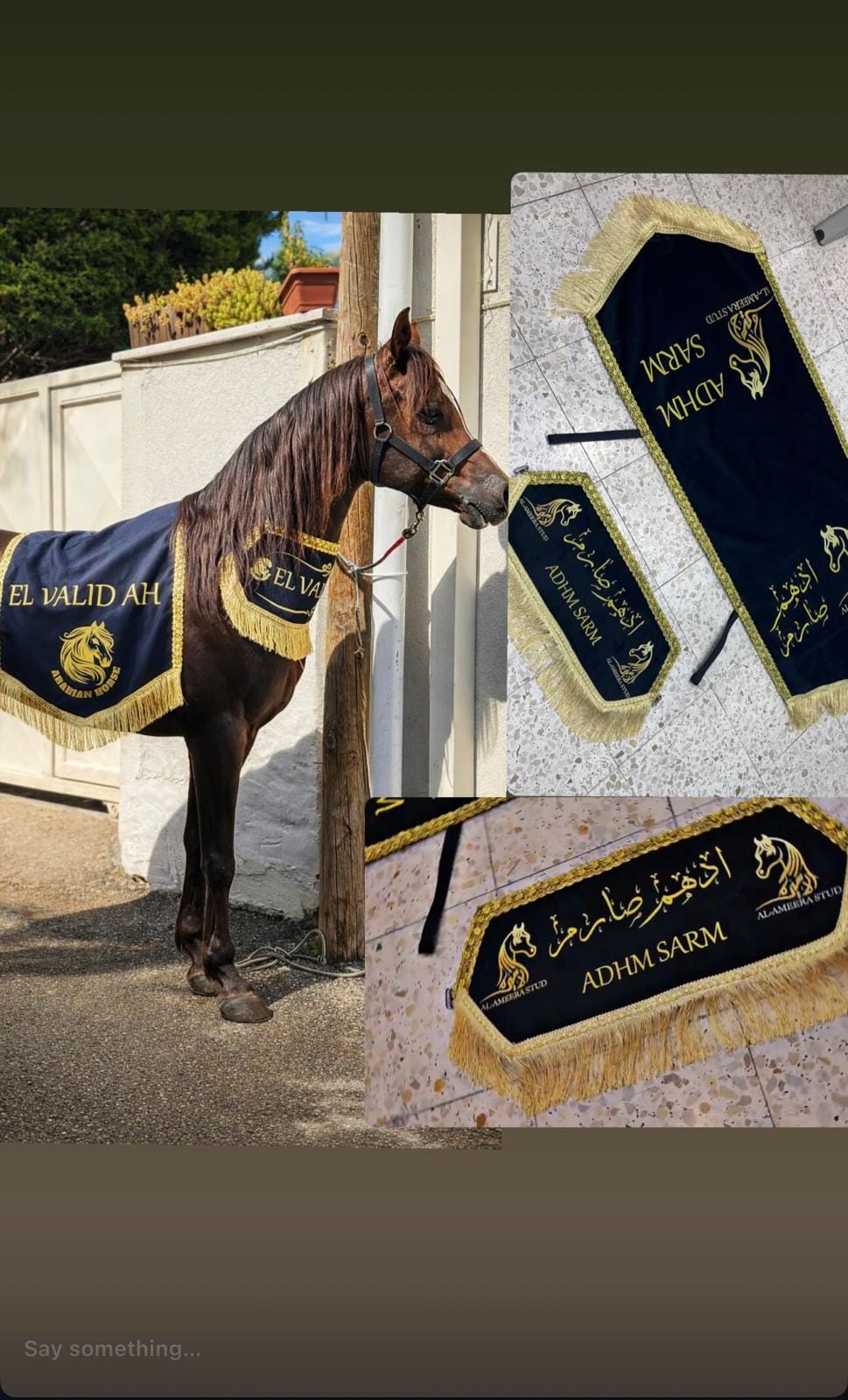 صدارية جمال