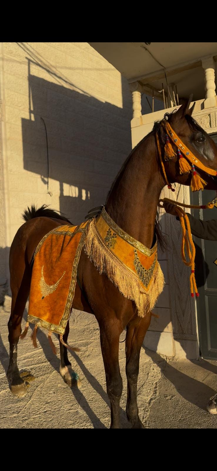 طقم جمال فاخر (قطعتين)