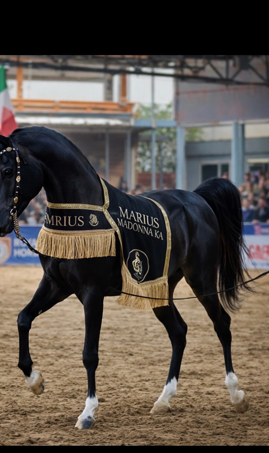 شلال عروض رقبة دائرية thumbnail 7