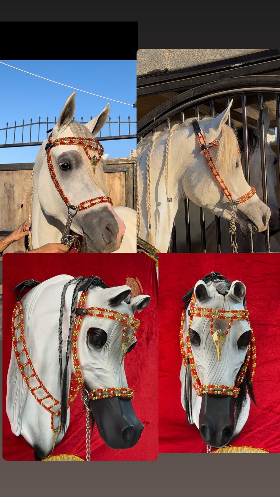 طقم جمال فاخر أحمر وذهبي (رشمة مع عقد الرقبة)