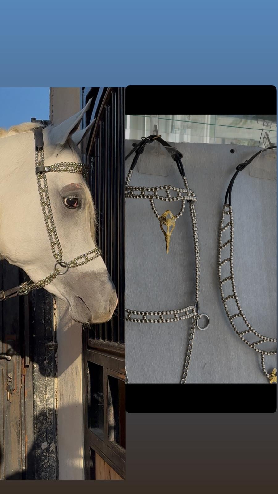 طقم جمال فاخر فضي (رشمة مع عقد الرقبة)