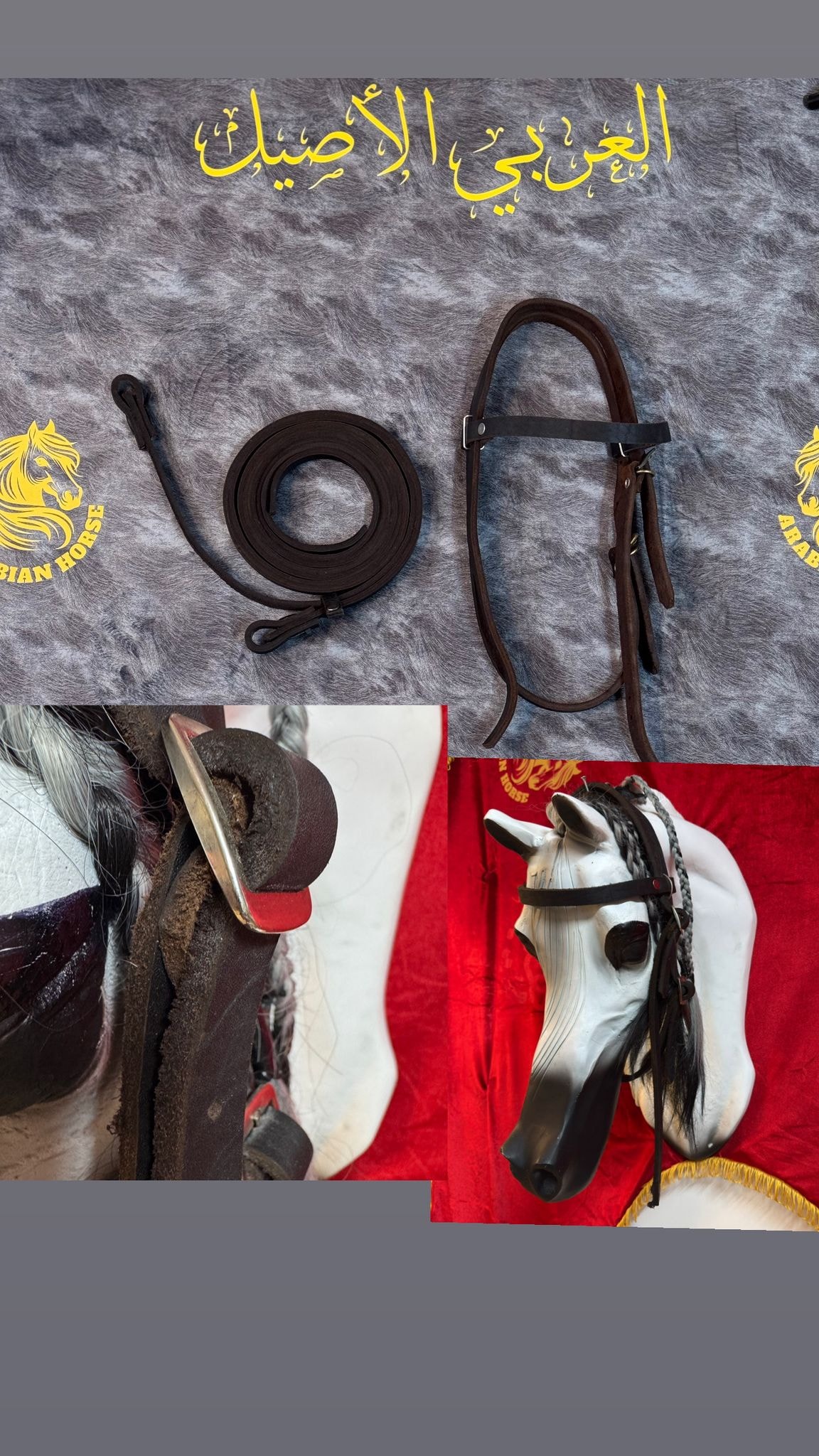 راسية مع صروعة(سحابات)