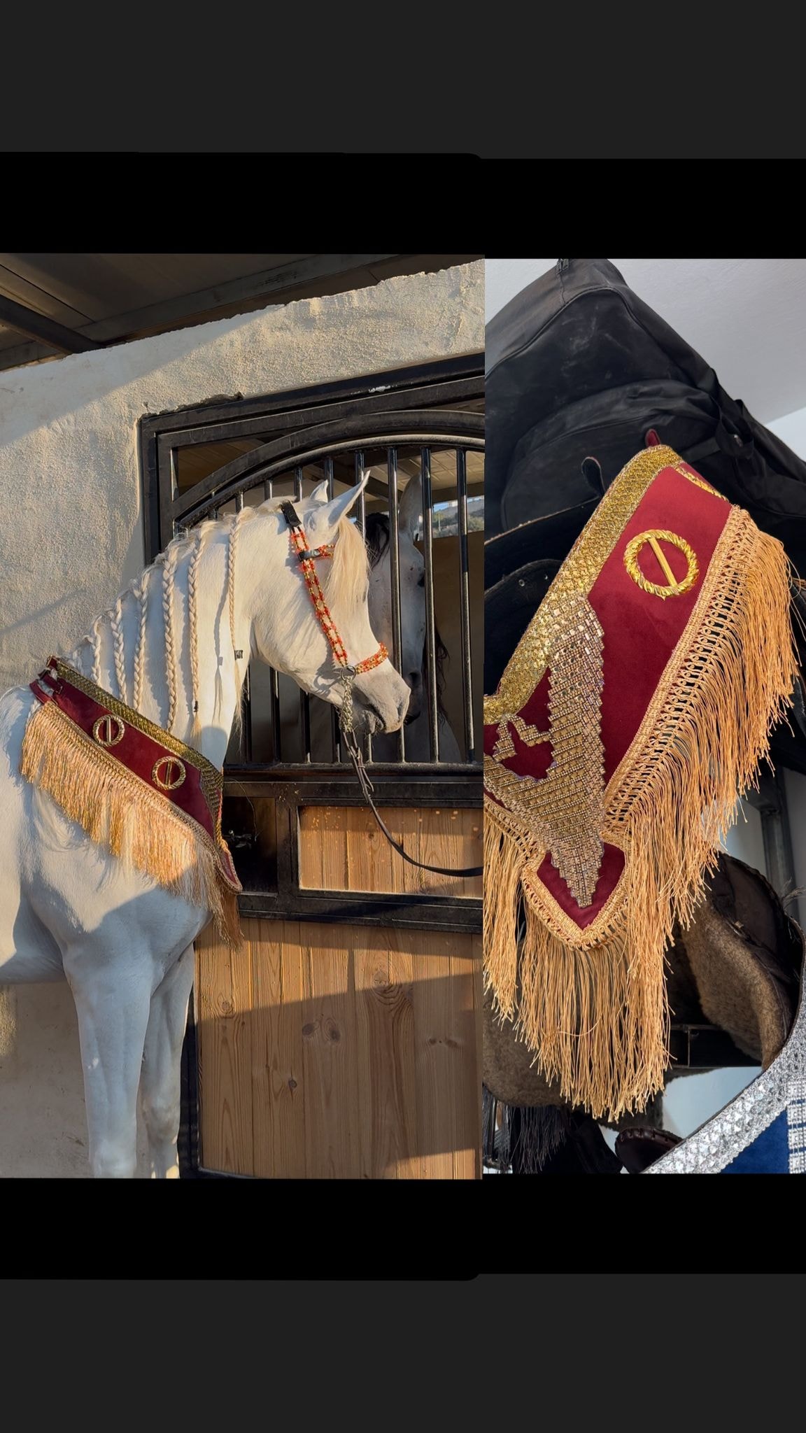 صداري الجمال (تتويج)