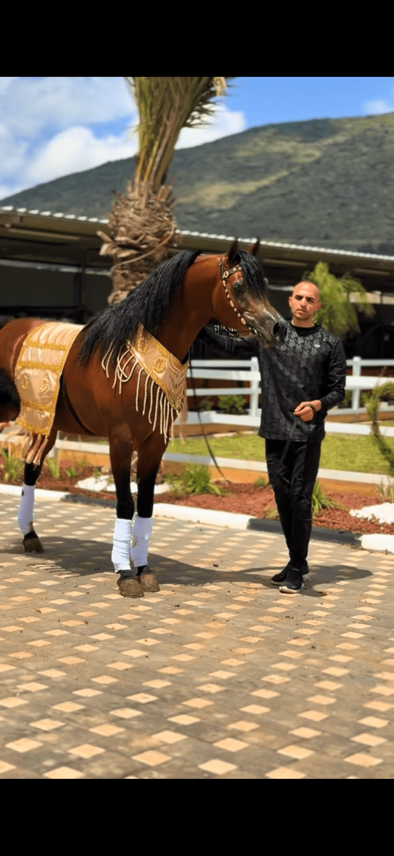 طقم جمال فاخر (قطعتين)