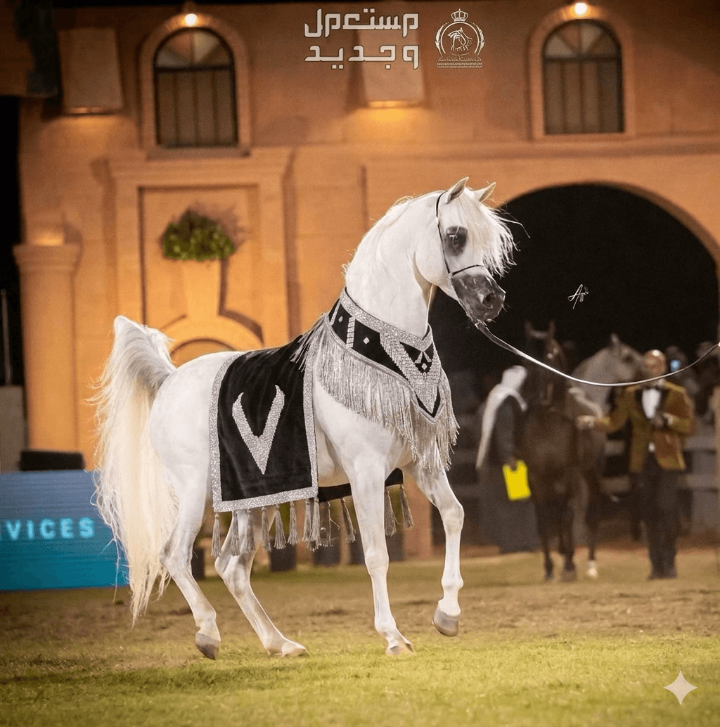 طقم جمال فاخر (قطعتين)